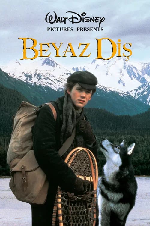 Beyaz Diş