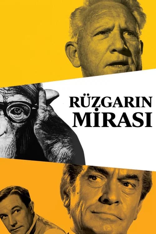 Rüzgarın Mirası