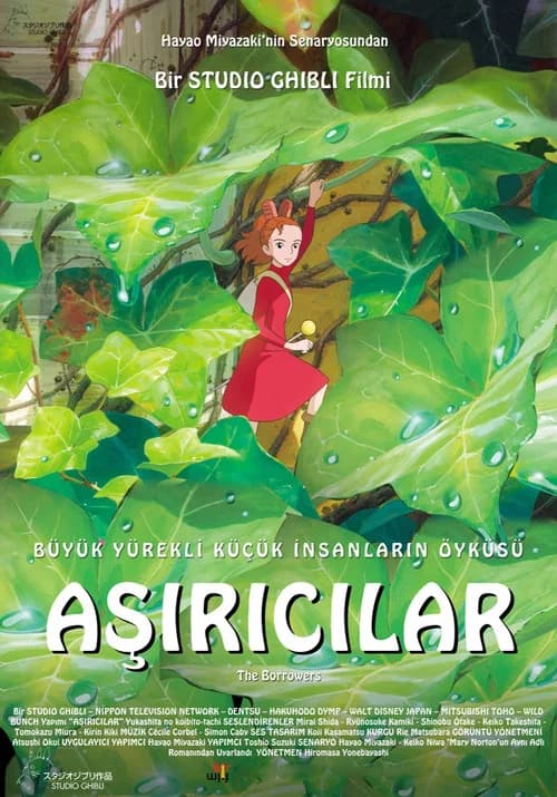 Aşırıcılar